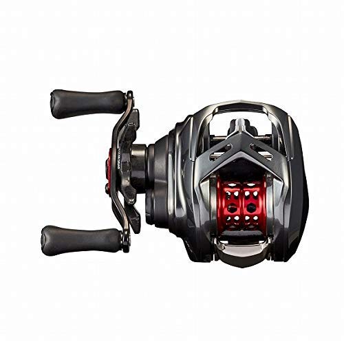 DAIWA 20 Alphas AIR TW 8.6L Left Handed | eBay